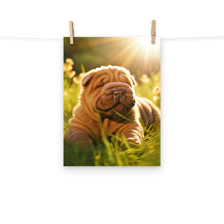 Shar Pei Photo paper poster - PosterfyAI.com