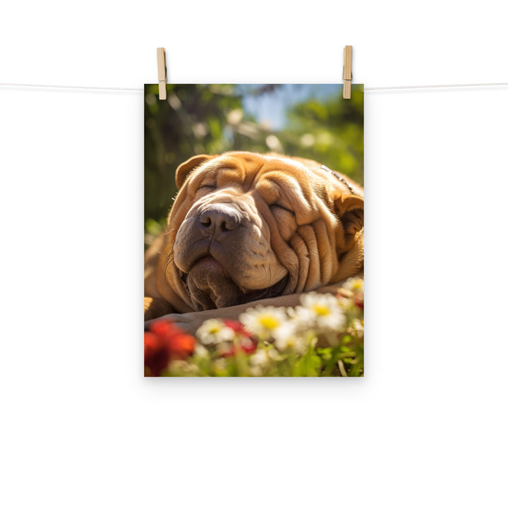 Shar Pei Photo paper poster - PosterfyAI.com