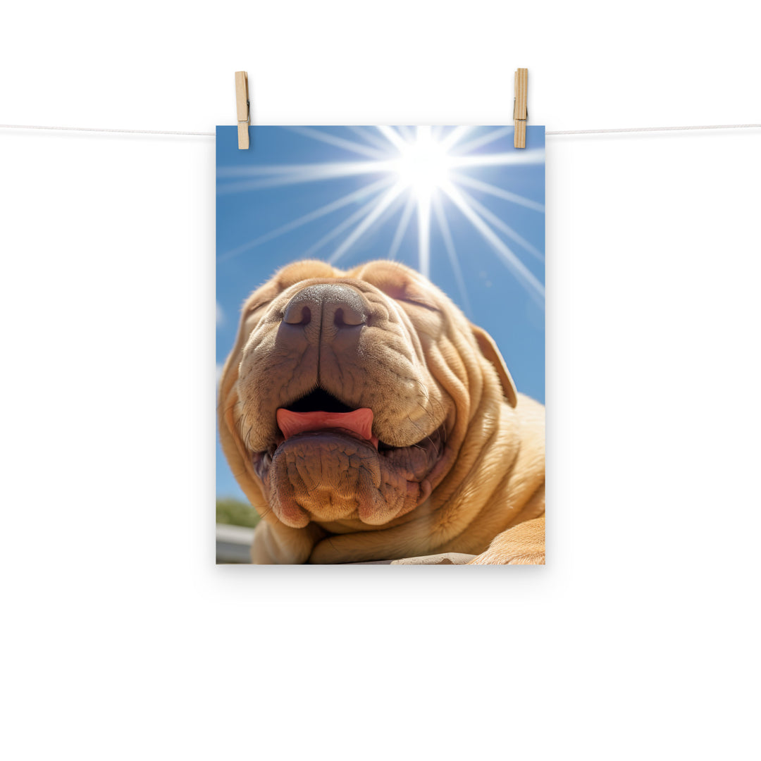 Shar Pei Photo paper poster - PosterfyAI.com