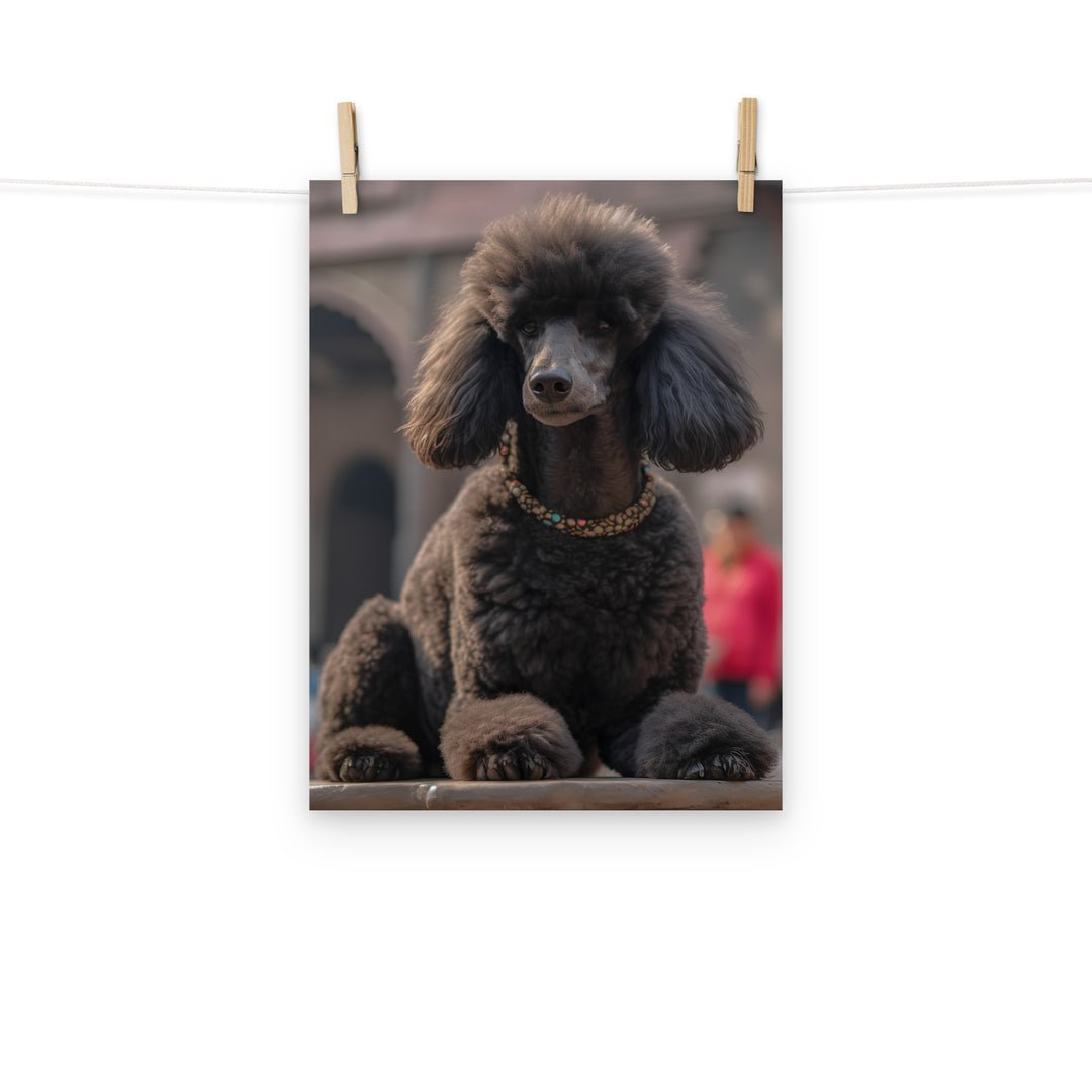 Poodle Photo paper poster - PosterfyAI.com