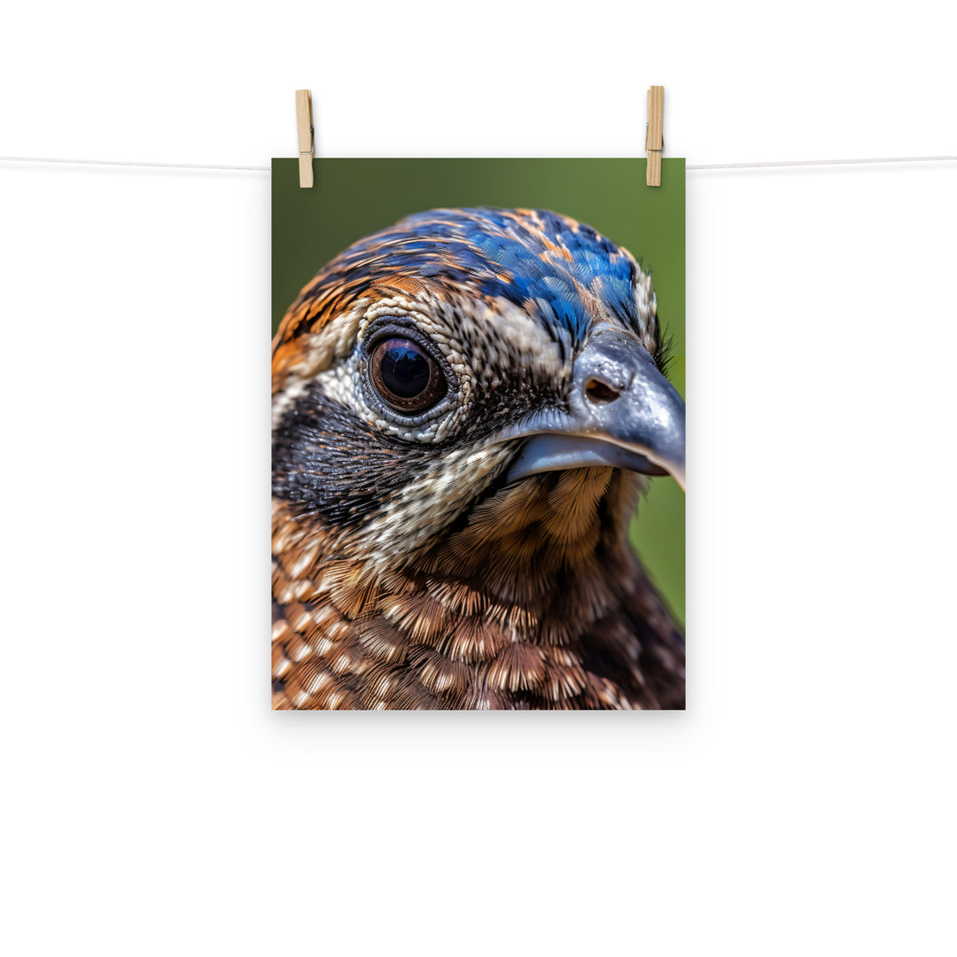 Quail Photo paper poster - PosterfyAI.com