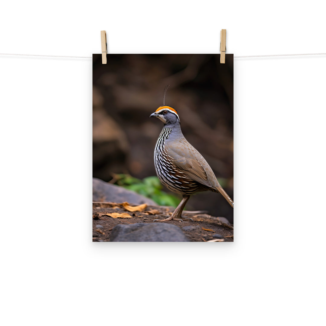 Quail Photo paper poster - PosterfyAI.com