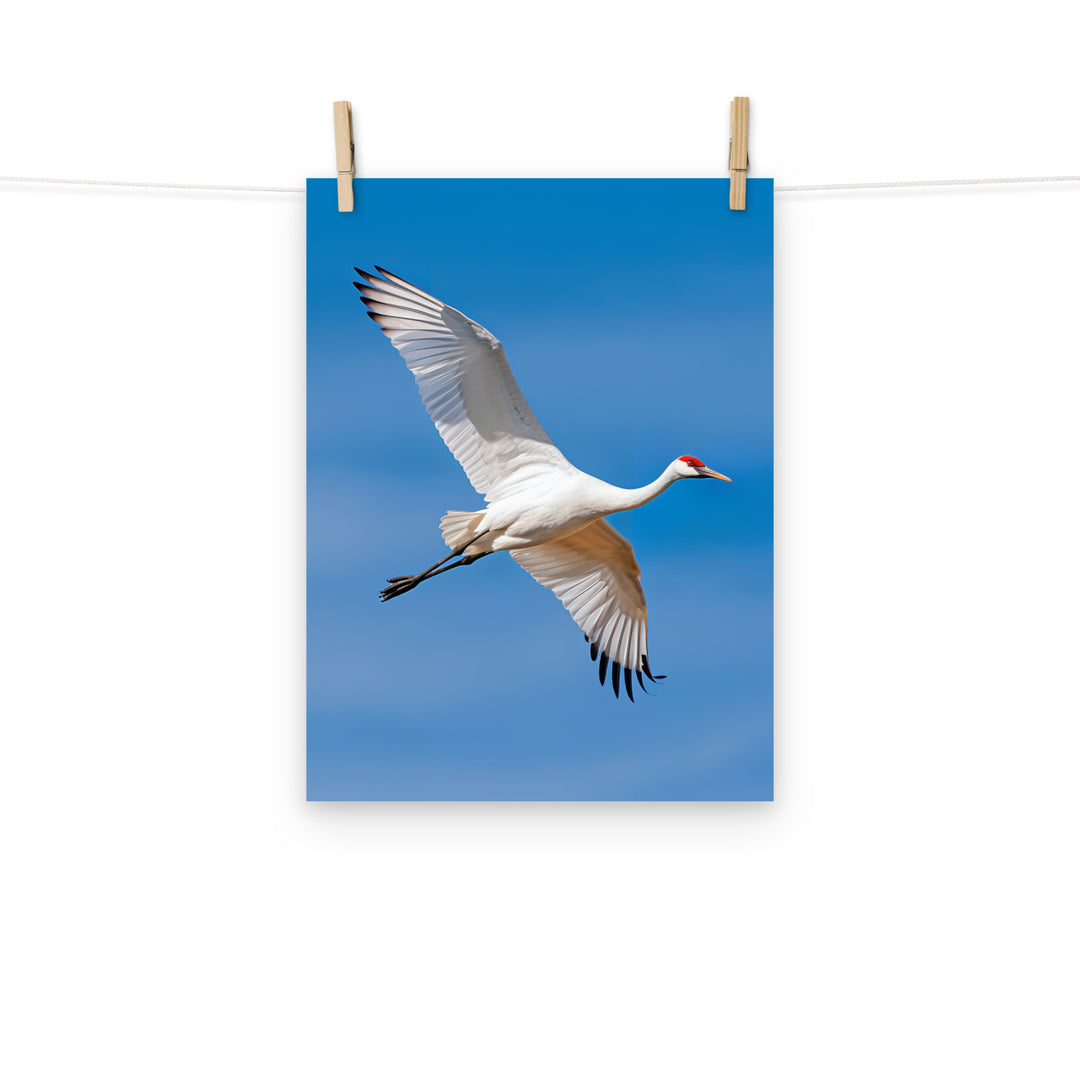 Crane Photo paper poster - PosterfyAI.com