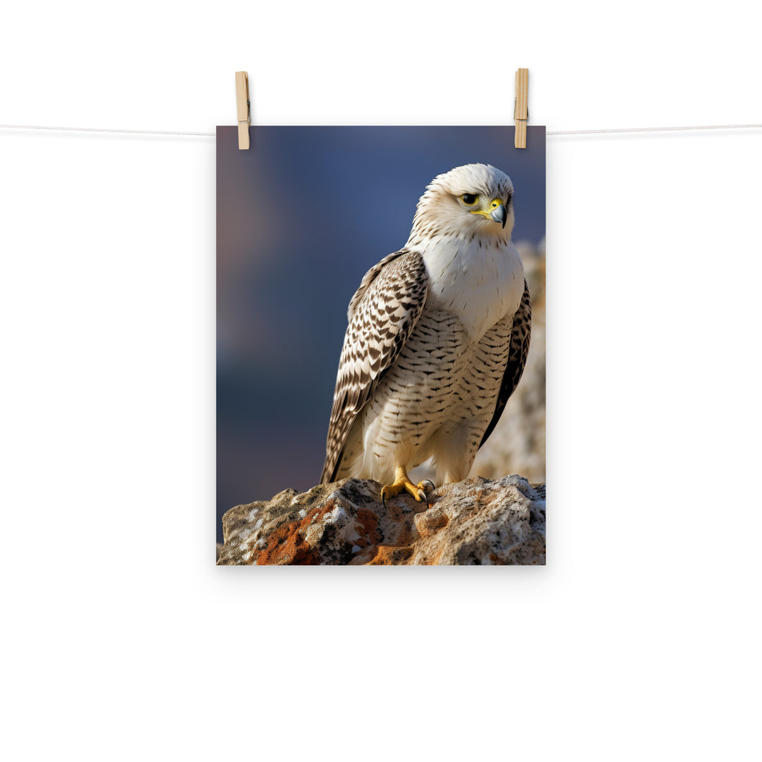 Gyrfalcon Photo paper poster - PosterfyAI.com