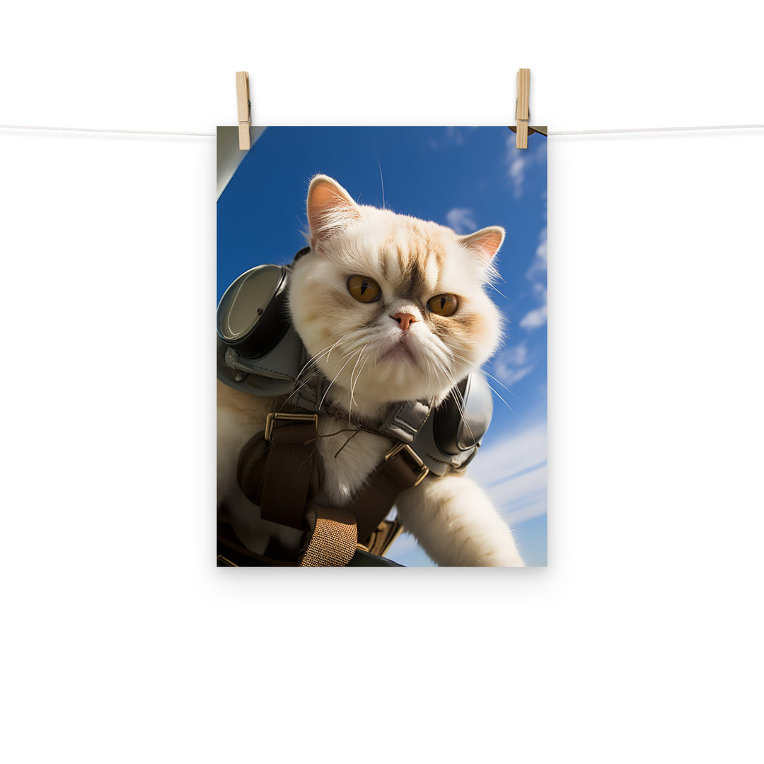 Exotic Shorthair Pilot Photo paper poster - PosterfyAI.com