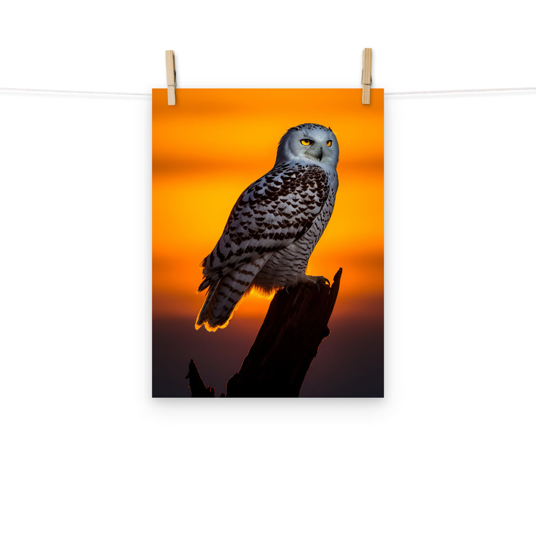 Owl Photo paper poster - PosterfyAI.com