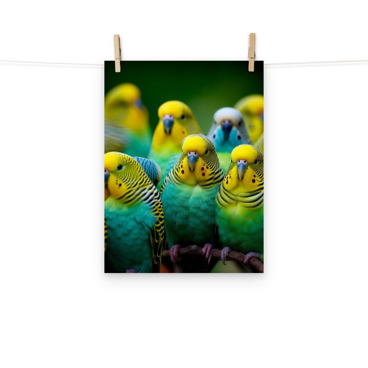 Budgerigar Photo paper poster - PosterfyAI.com