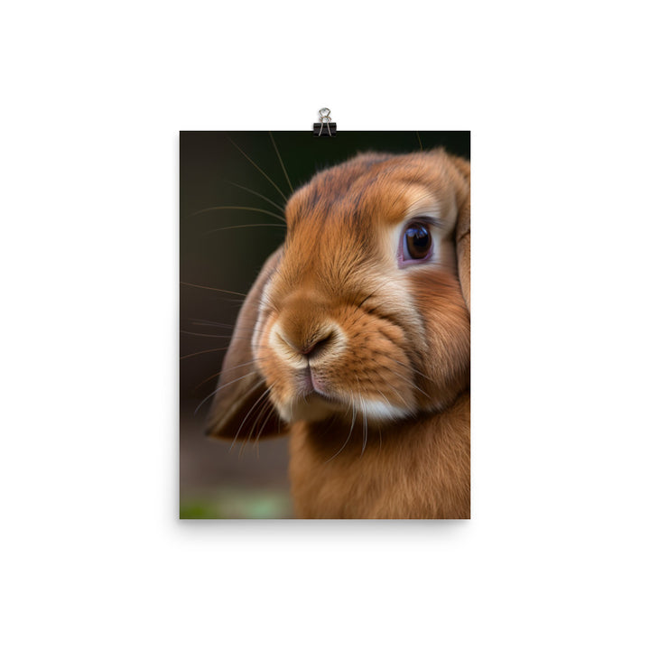 French Lop Portrait Photo paper poster - PosterfyAI.com