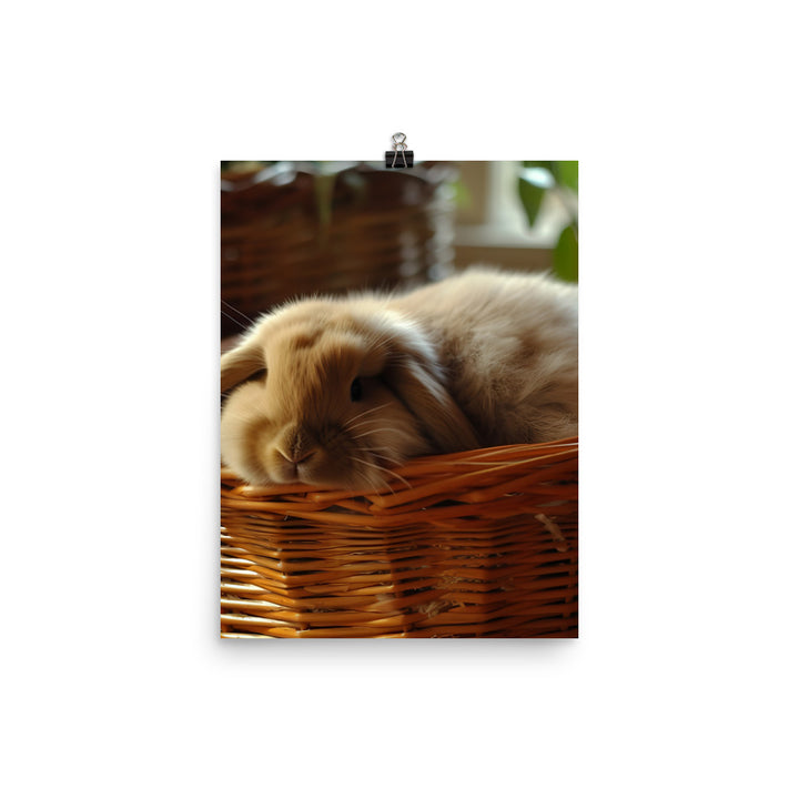 American Fuzzy Lop in a Basket Photo paper poster - PosterfyAI.com