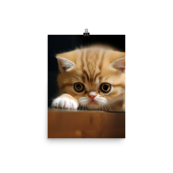 Exotic Shorthair Kitten Photo paper poster - PosterfyAI.com