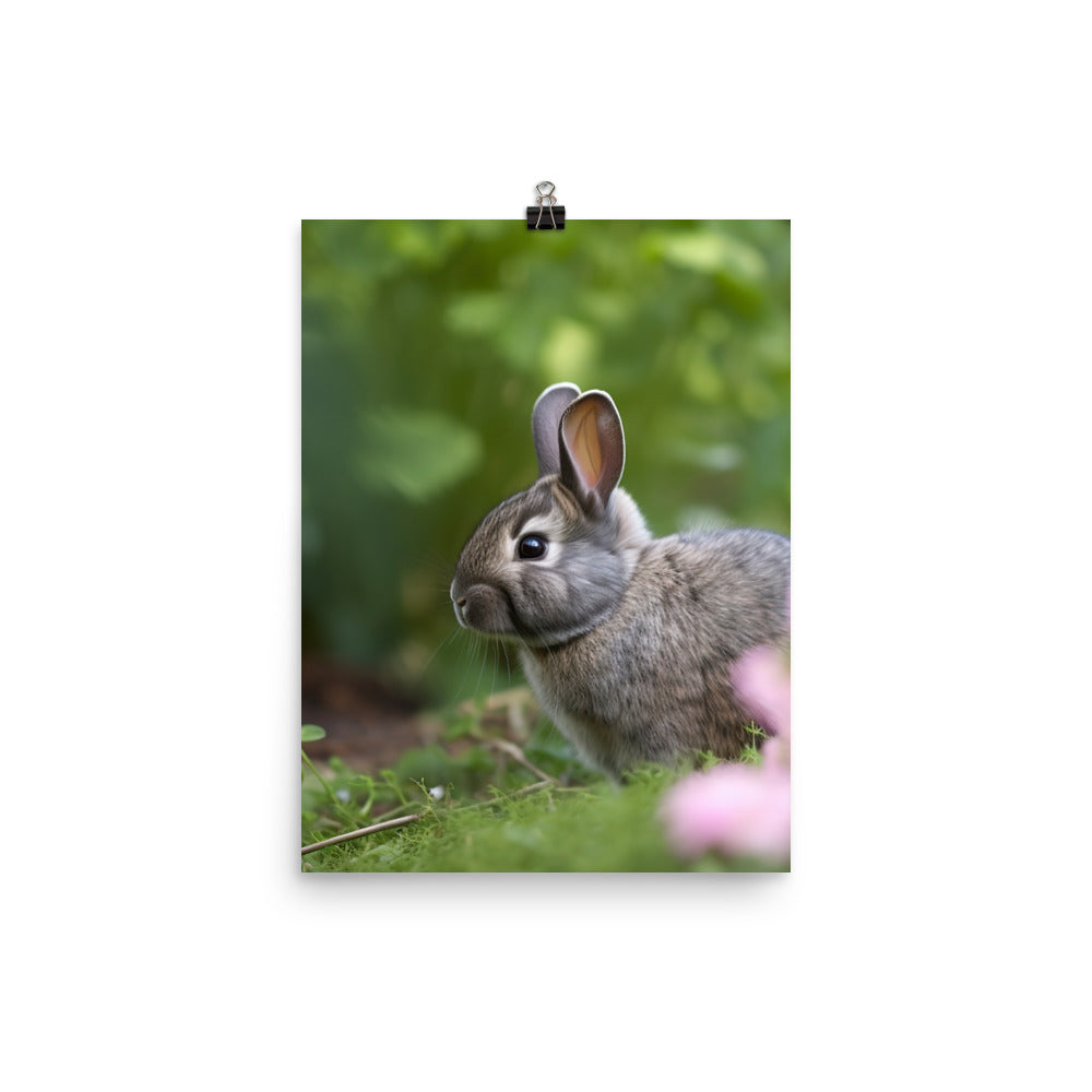 Netherland Dwarf in the Garden Photo paper poster - PosterfyAI.com