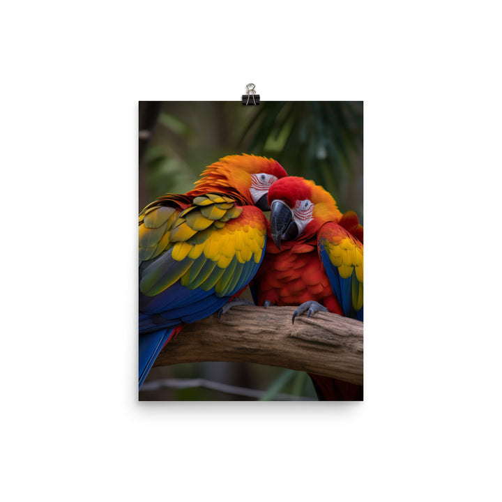 Two Macaws cuddling on a tree branch Photo paper poster - PosterfyAI.com