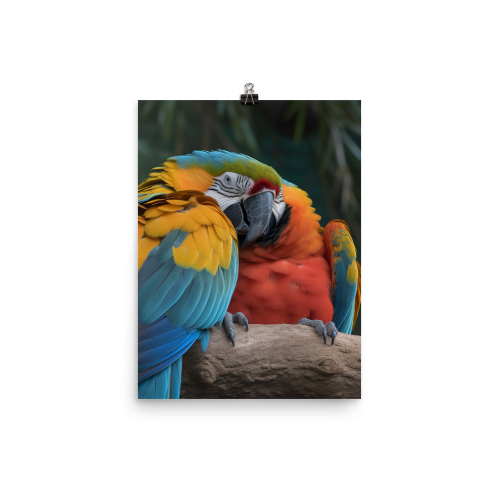 Two Macaws cuddling on a tree branch Photo paper poster - PosterfyAI.com