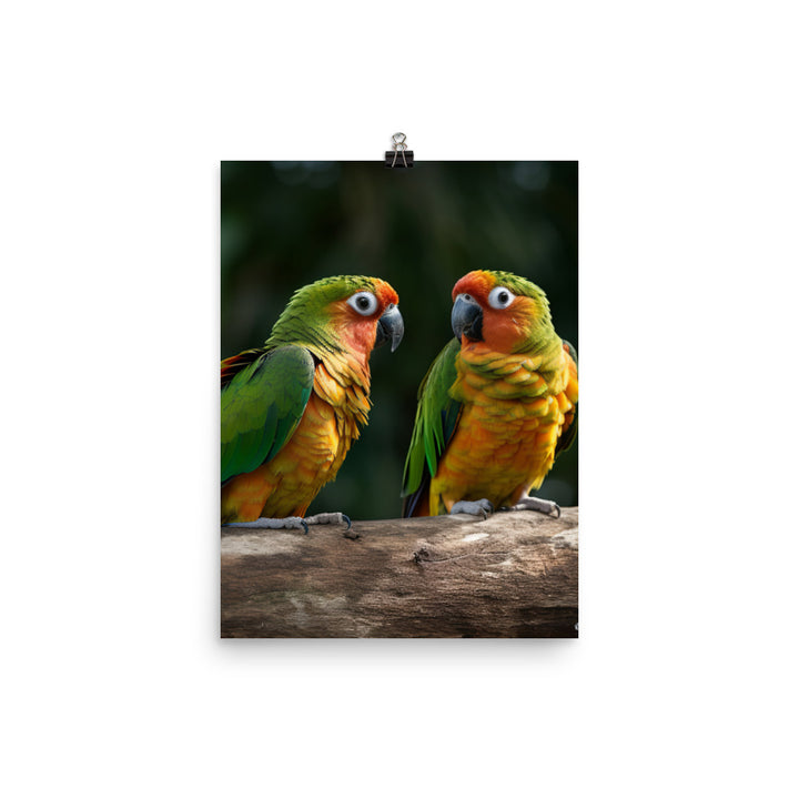 Two Conures perched side by side Photo paper poster - PosterfyAI.com
