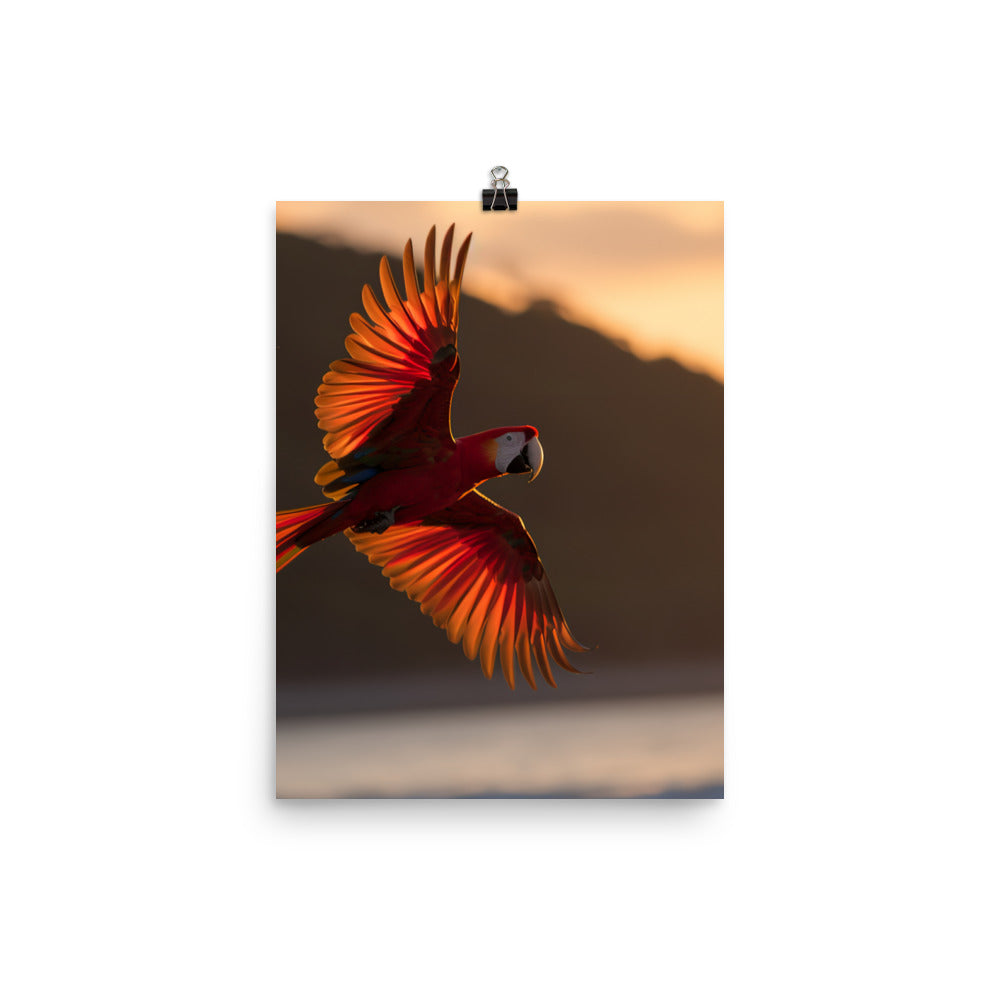 Scarlet Macaw flying over a beach at sunset Photo paper poster - PosterfyAI.com