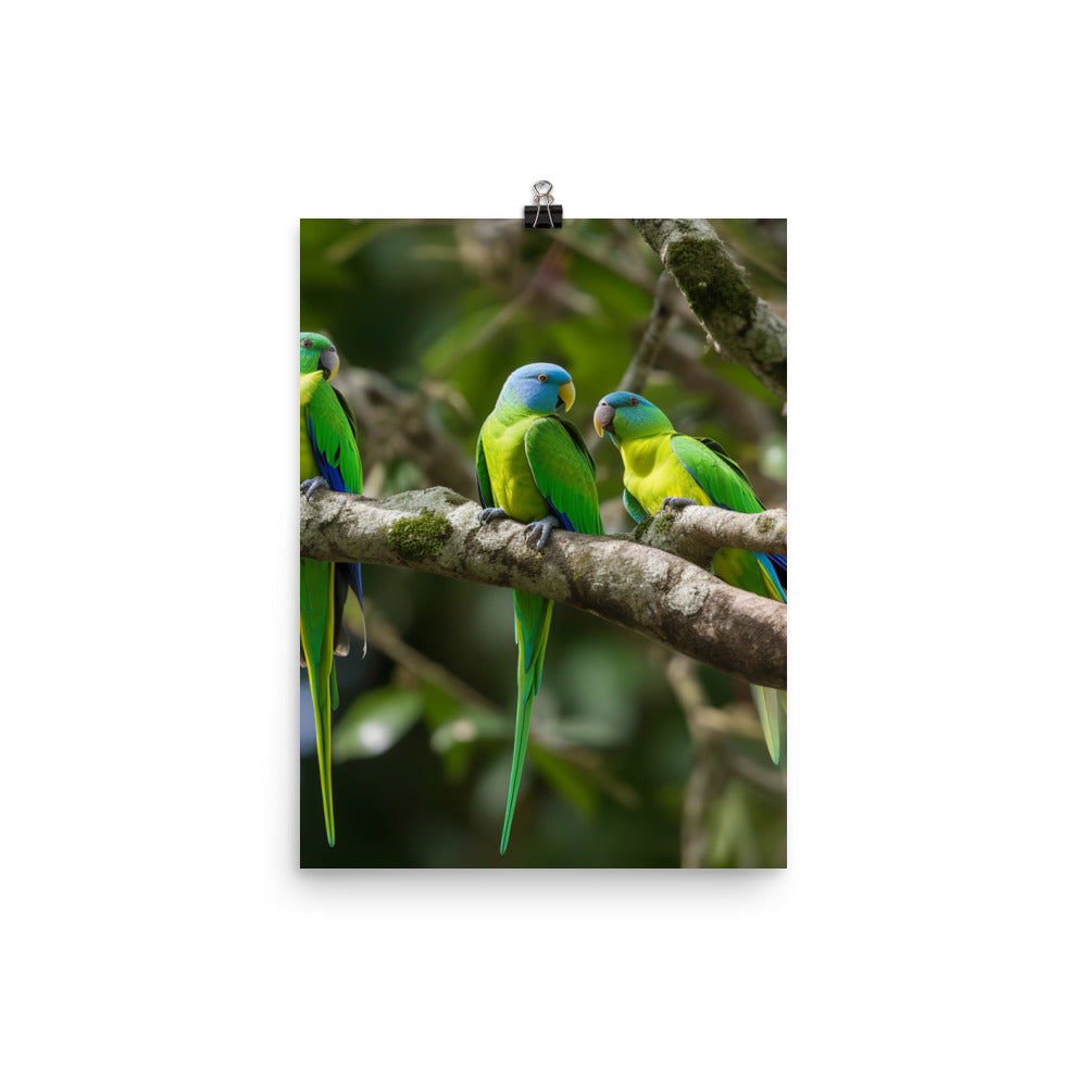 Rainbow Parakeets Photo paper poster - PosterfyAI.com