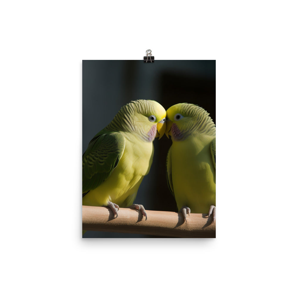 Parakeet Lovebirds Photo paper poster - PosterfyAI.com