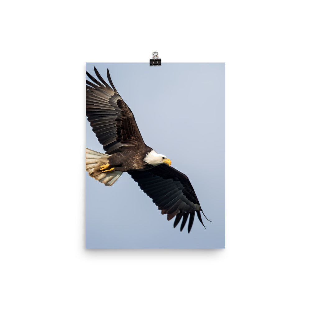 Majestic Bald Eagle Soaring in the Sky Photo paper poster - PosterfyAI.com