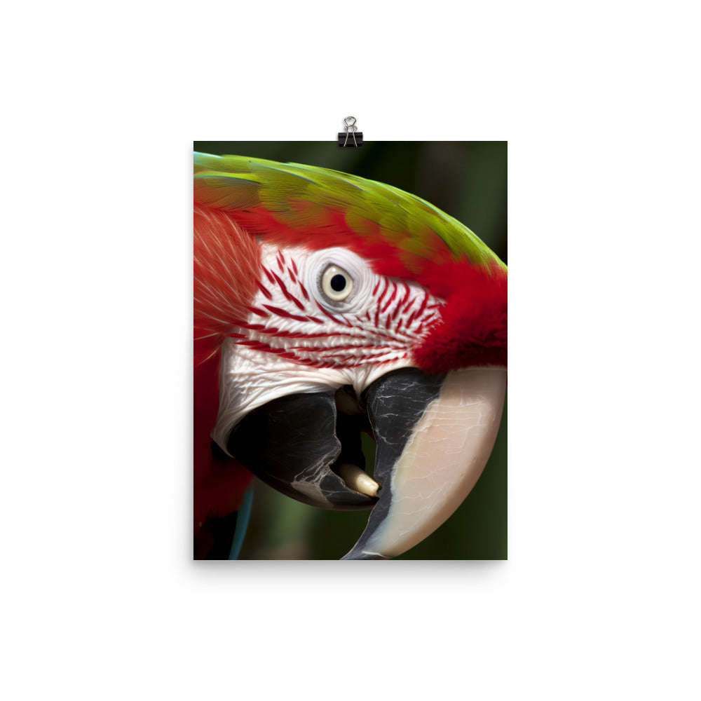 Green winged Macaw eating a nut Photo paper poster - PosterfyAI.com