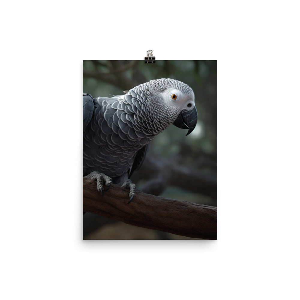 Curious African Grey Parrot Photo paper poster - PosterfyAI.com