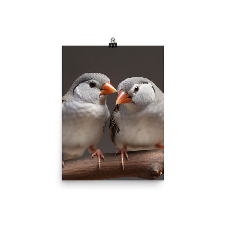 Close-up of Zebra Finches Photo paper poster - PosterfyAI.com