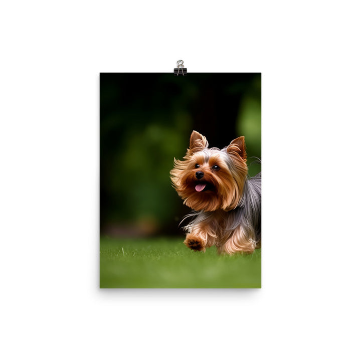 Yorkshire Terrier on-the-Go Photo paper poster - PosterfyAI.com