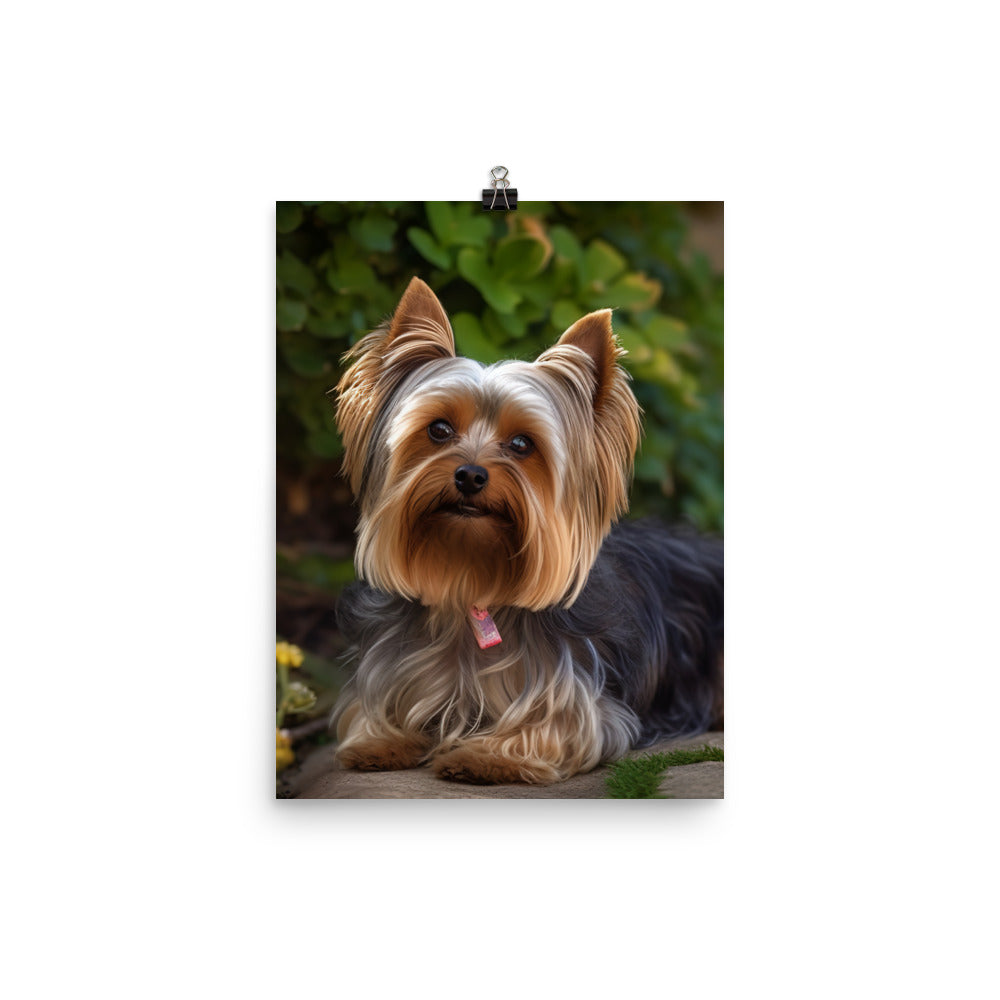Yorkshire Terrier in the Garden Photo paper poster - PosterfyAI.com