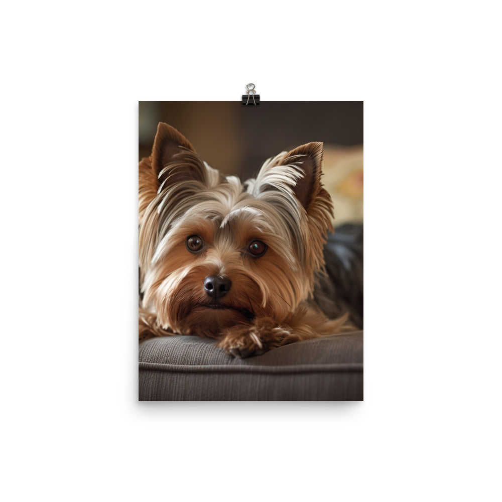 Yorkie at Home Photo paper poster - PosterfyAI.com