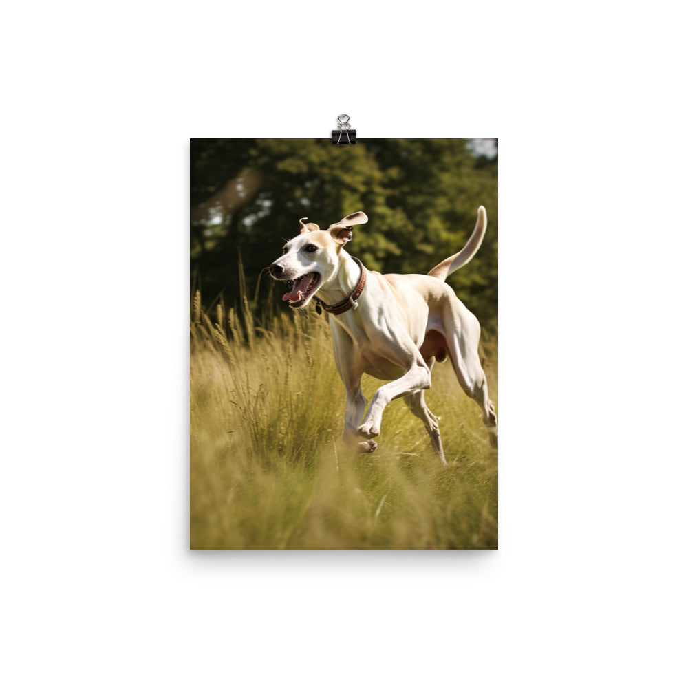 Whippet in-Action Photo paper poster - PosterfyAI.com