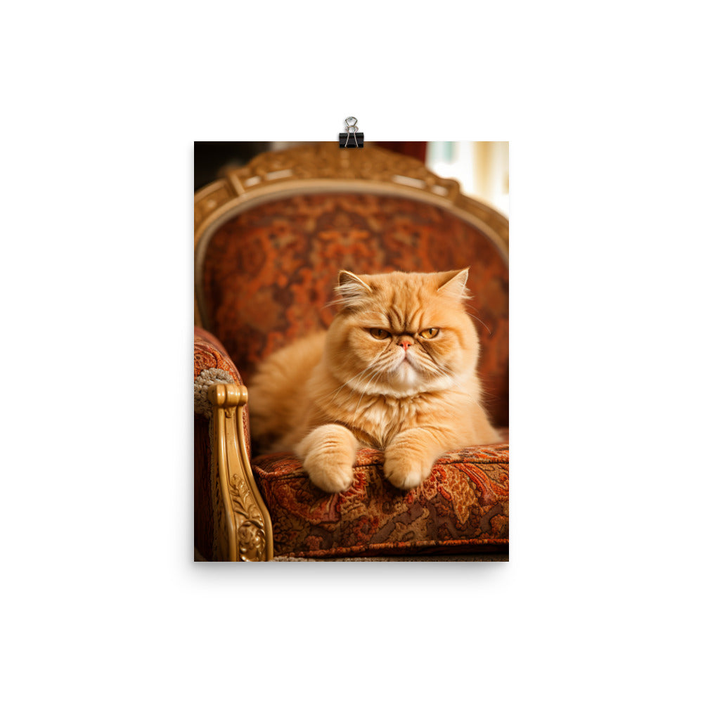Exotic Shorthair Cat Lounging Photo paper poster - PosterfyAI.com