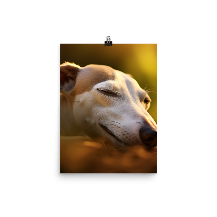 Whippet Beauty Sleep Photo paper poster - PosterfyAI.com