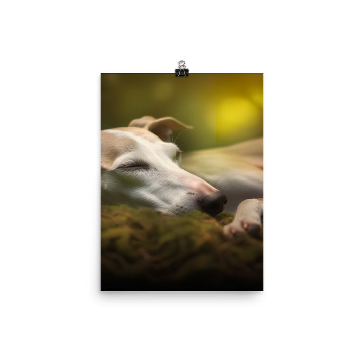 Whippet Beauty Sleep Photo paper poster - PosterfyAI.com