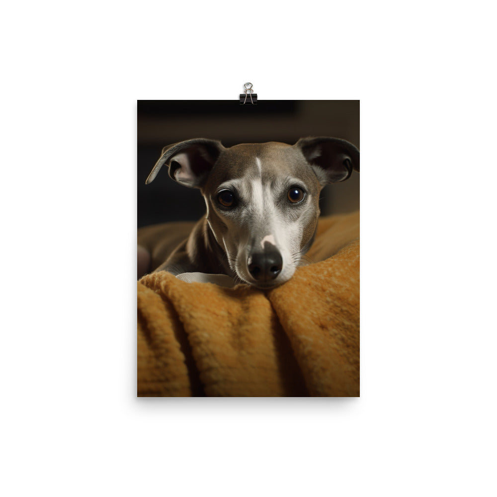 Whippet at Home Photo paper poster - PosterfyAI.com