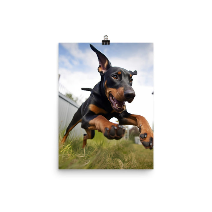 The playful side of a Doberman Pinscher Photo paper poster - PosterfyAI.com