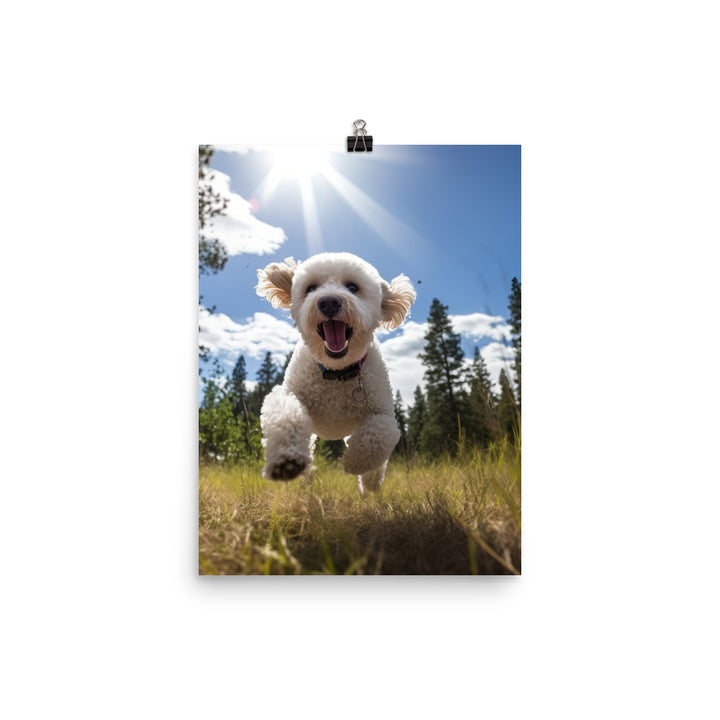 The Playful Poodle Photo paper poster - PosterfyAI.com