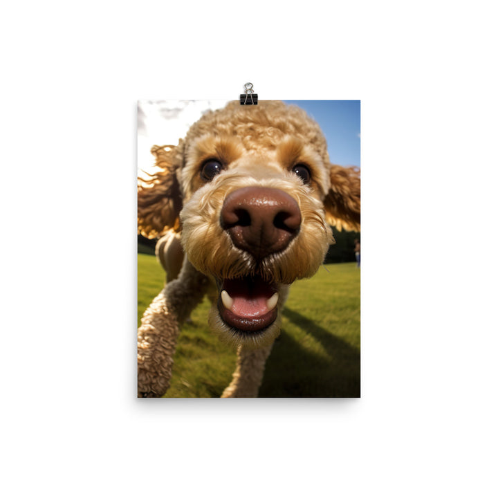 The Playful Poodle Photo paper poster - PosterfyAI.com