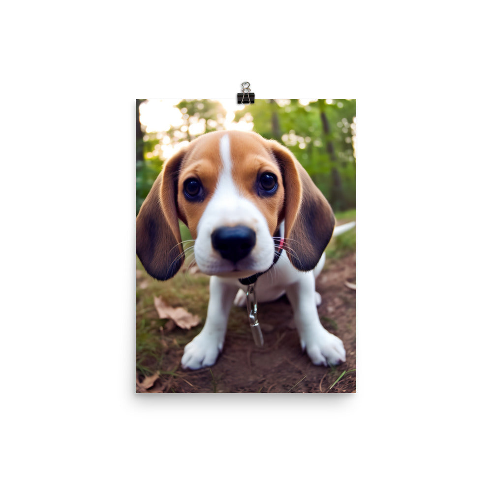The curious eyes of a Beagle pup Photo paper poster - PosterfyAI.com