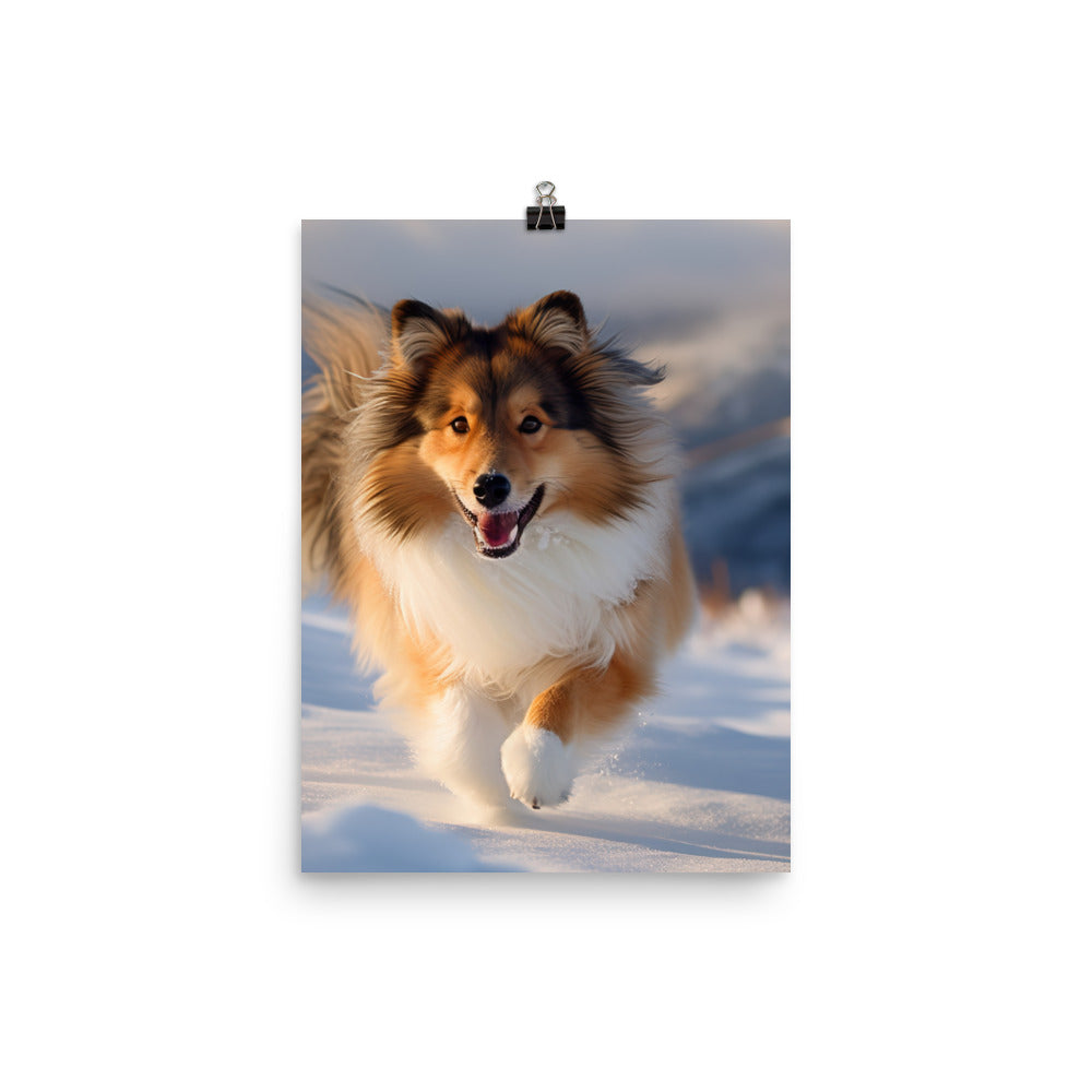 Shetland Sheepdog Playing in the Snow Photo paper poster - PosterfyAI.com