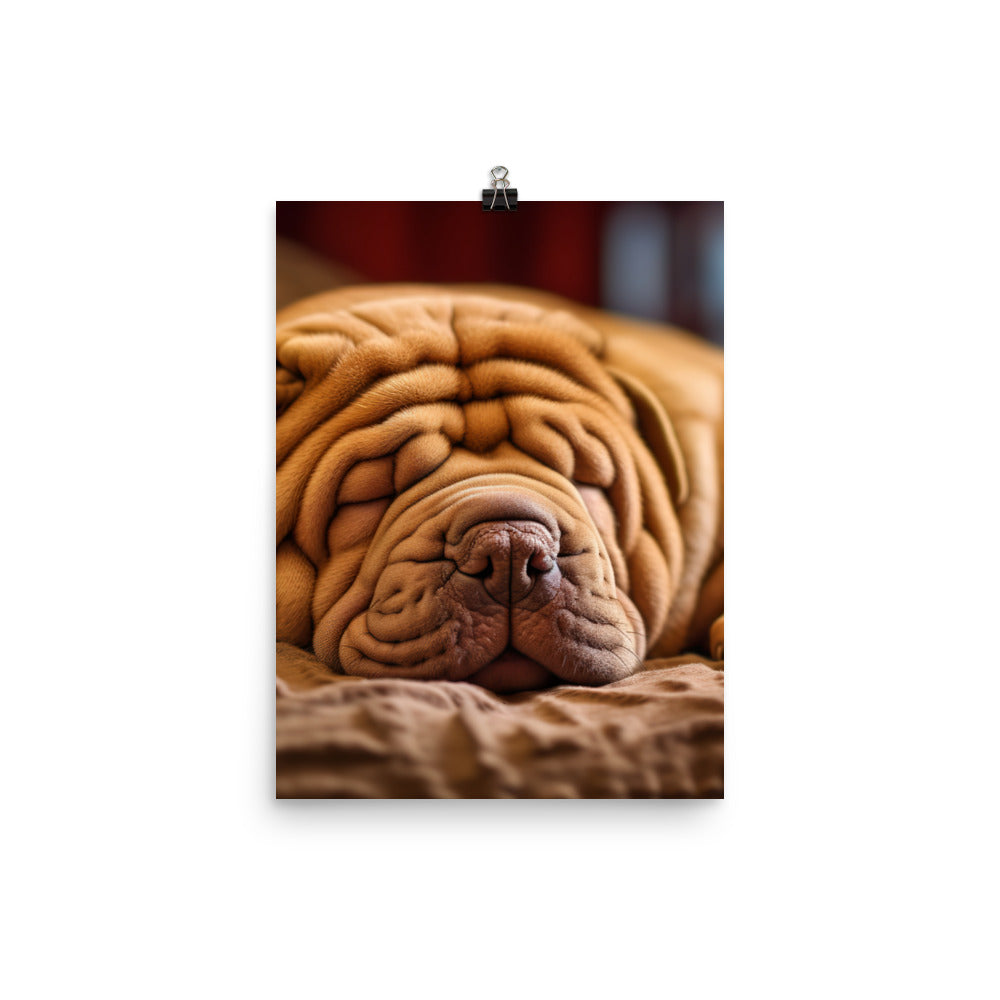 Shar Pei Dreaming Photo paper poster - PosterfyAI.com