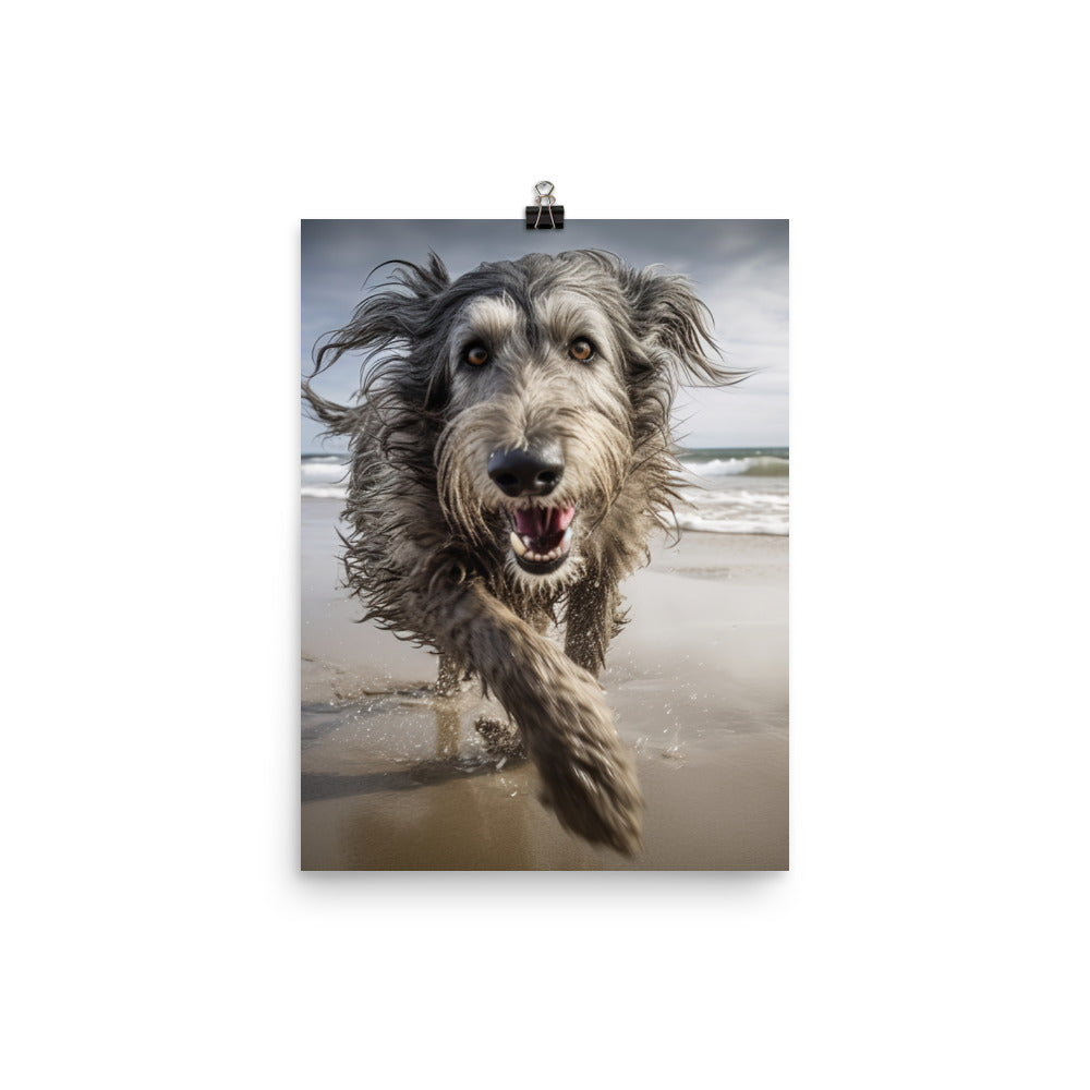 Scottish Deerhound on the Beach Photo paper poster - PosterfyAI.com