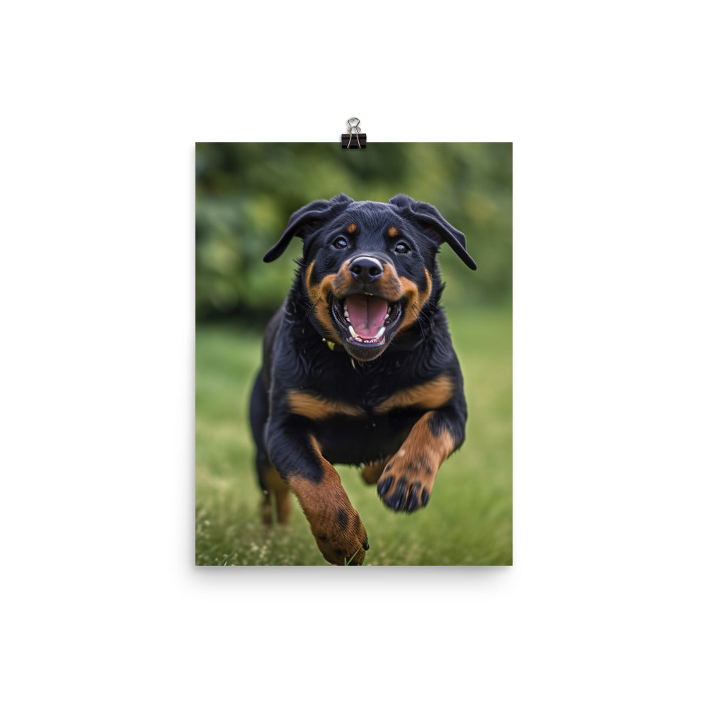 Rottweilers playful side in action Photo paper poster - PosterfyAI.com