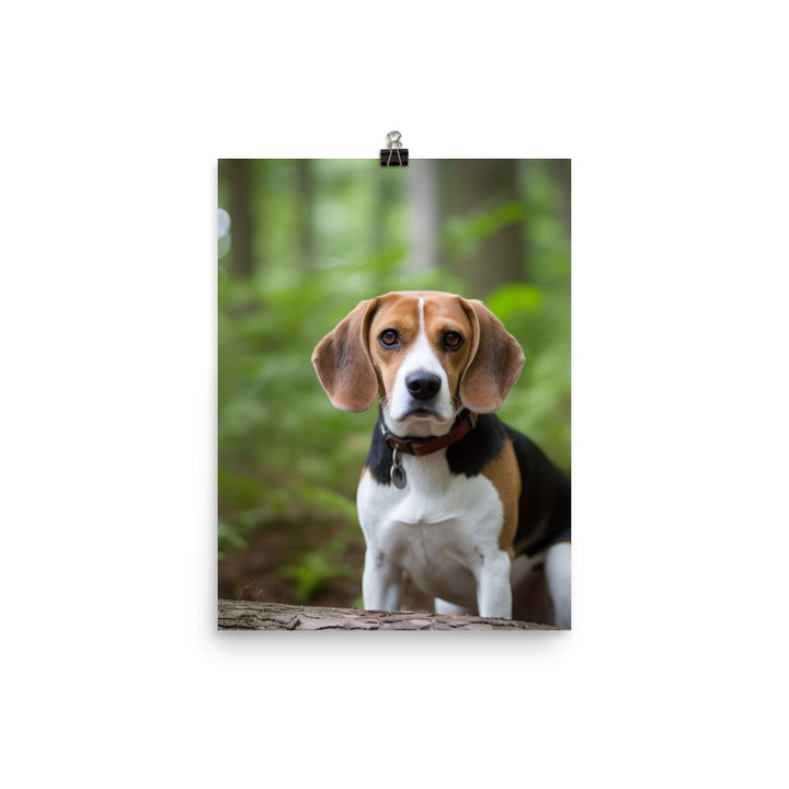 Proud Beagle posing for the camera Photo paper poster - PosterfyAI.com