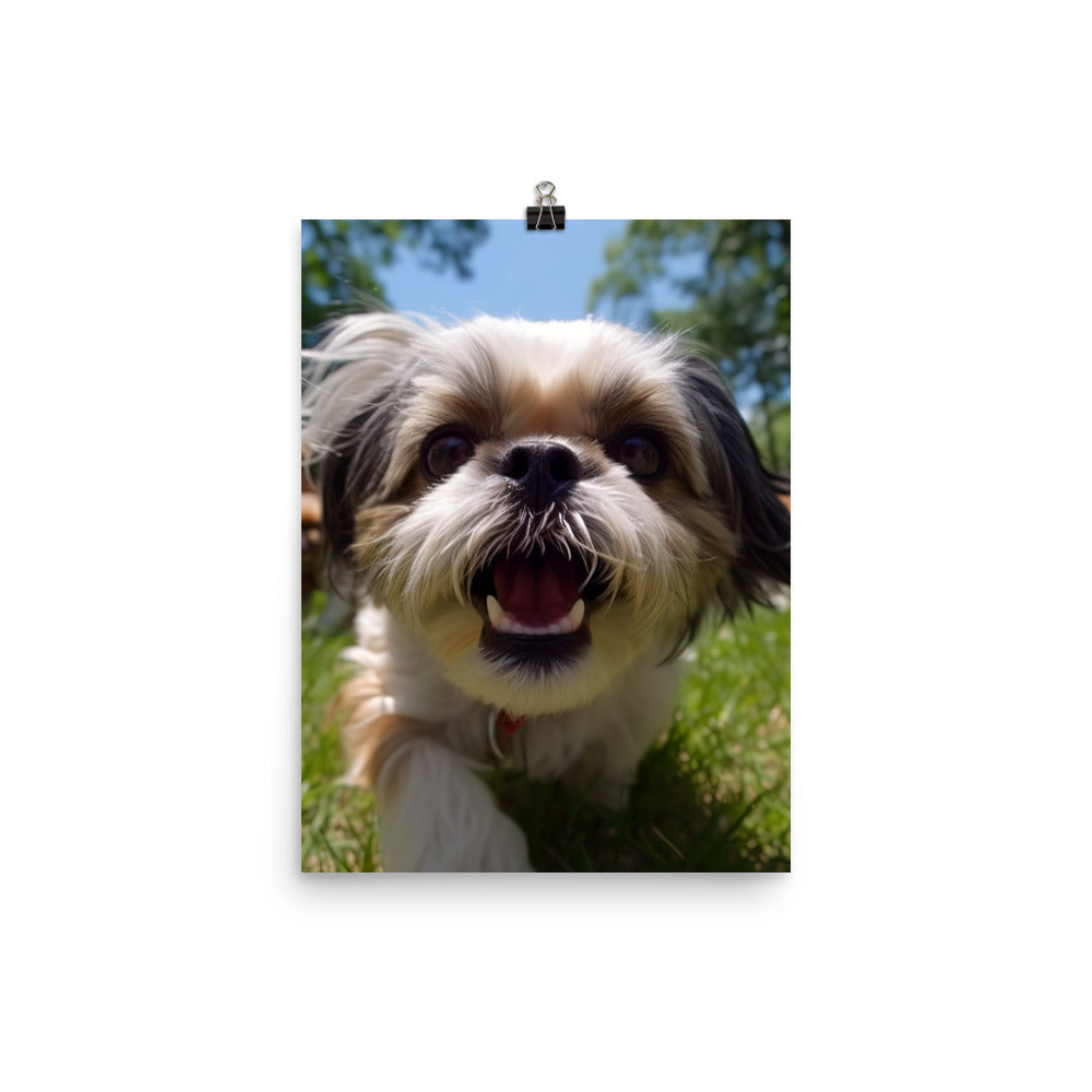 Playful Shih Tzu in a Park Photo paper poster - PosterfyAI.com