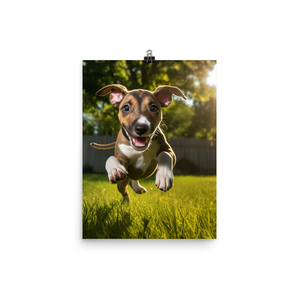 Playful Greyhound Pup Photo paper poster - PosterfyAI.com