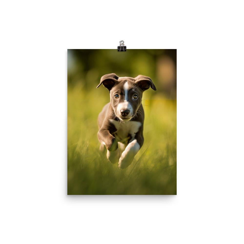 Playful Greyhound Pup Photo paper poster - PosterfyAI.com