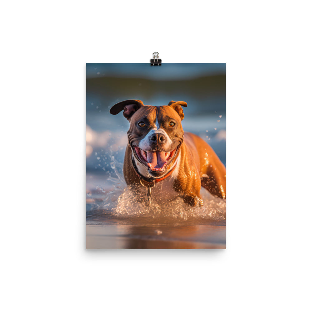 Playful American Staffordshire Terrier Photo paper poster - PosterfyAI.com