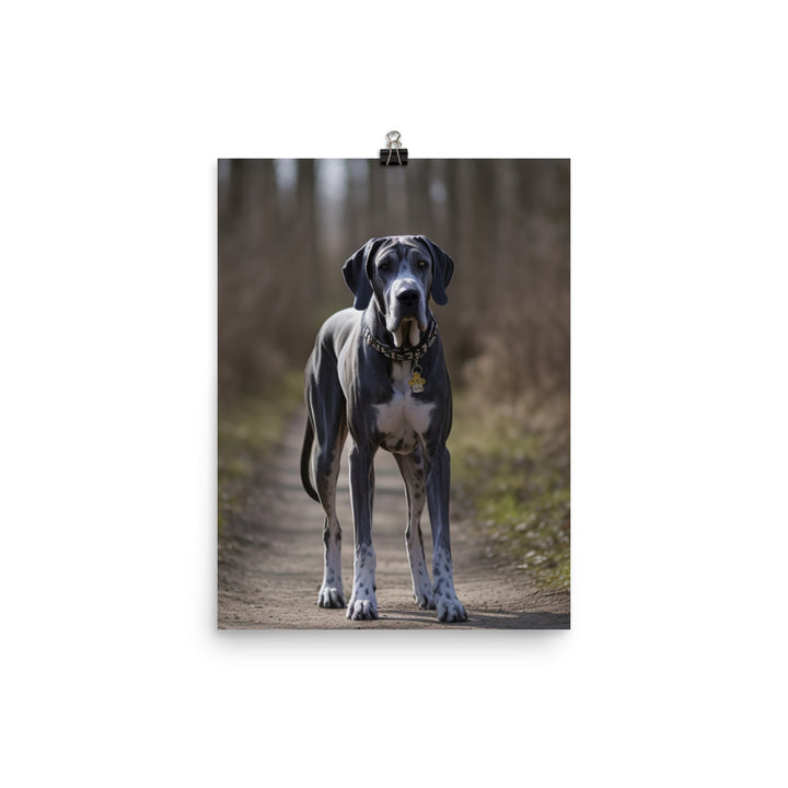 Majestic Great Dane on a Stroll Photo paper poster - PosterfyAI.com