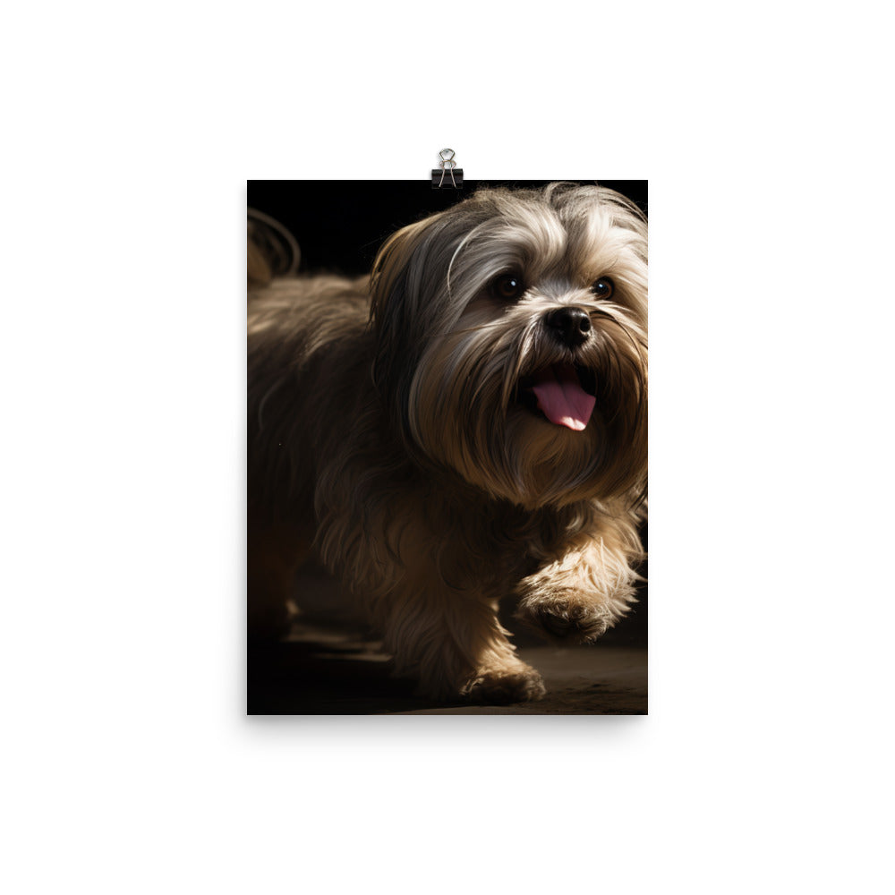 Lhasa Apso Playtime Photo paper poster - PosterfyAI.com