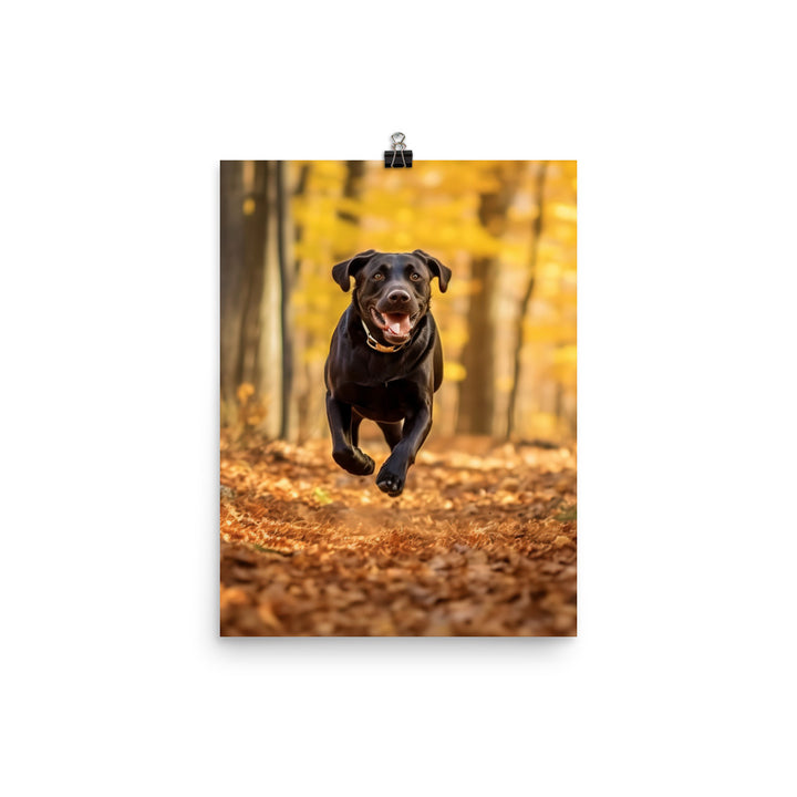 Labrador Retriever Running in the Woods Photo paper poster - PosterfyAI.com