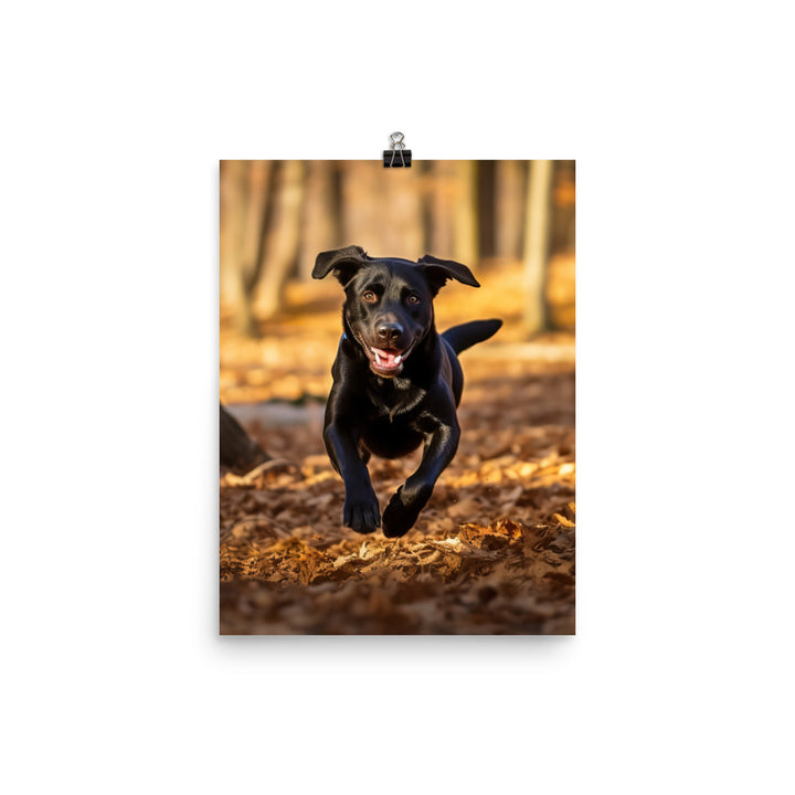 Labrador Retriever Running in the Woods Photo paper poster - PosterfyAI.com